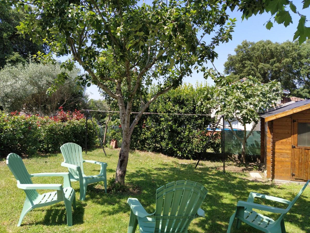 Maison Christy, Spacieux, Calme Avec Jardin Ondres Exterior photo